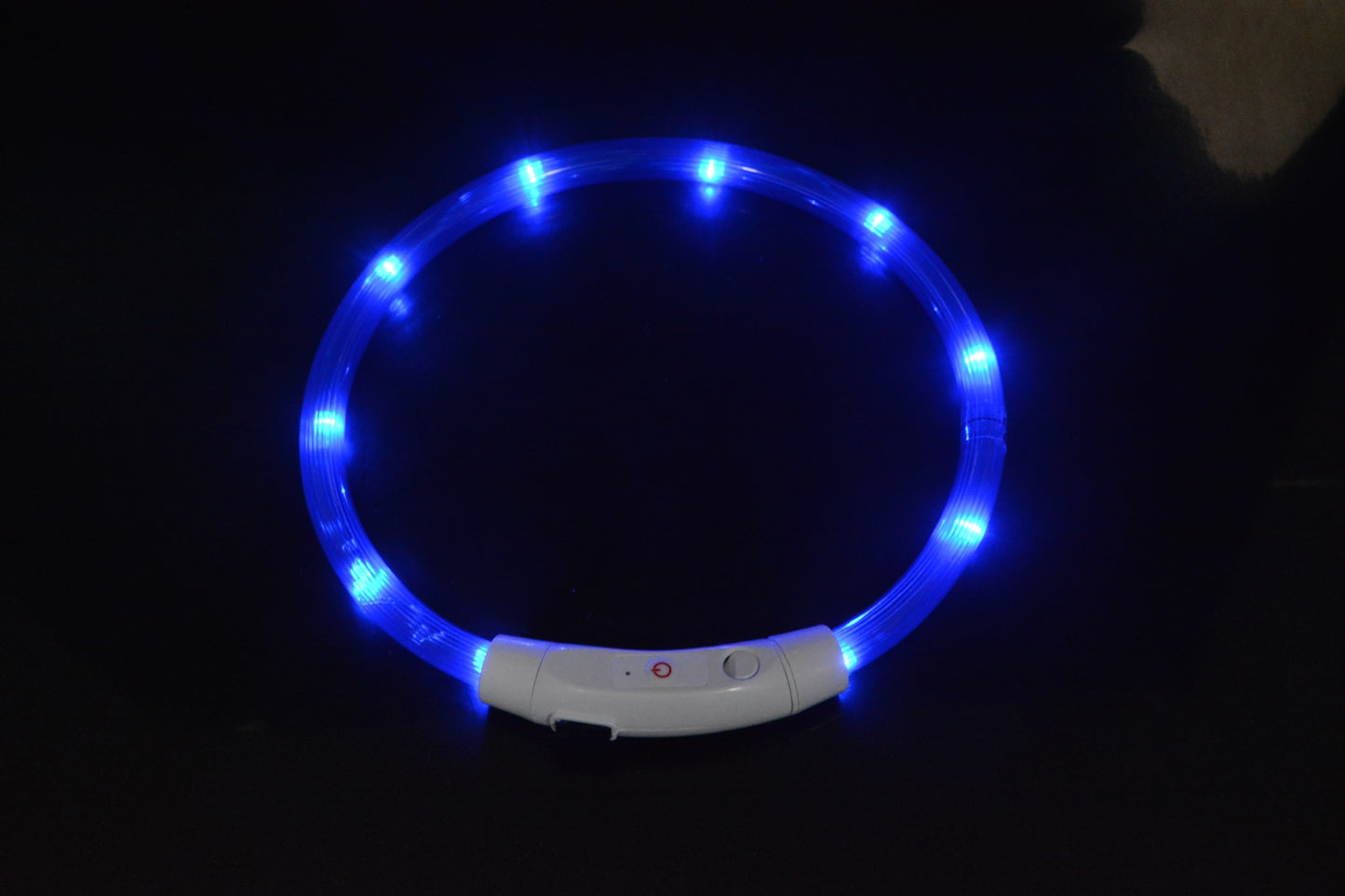 LED-Leuchthalsband für Hunde – Wiederaufladbar mit USB
