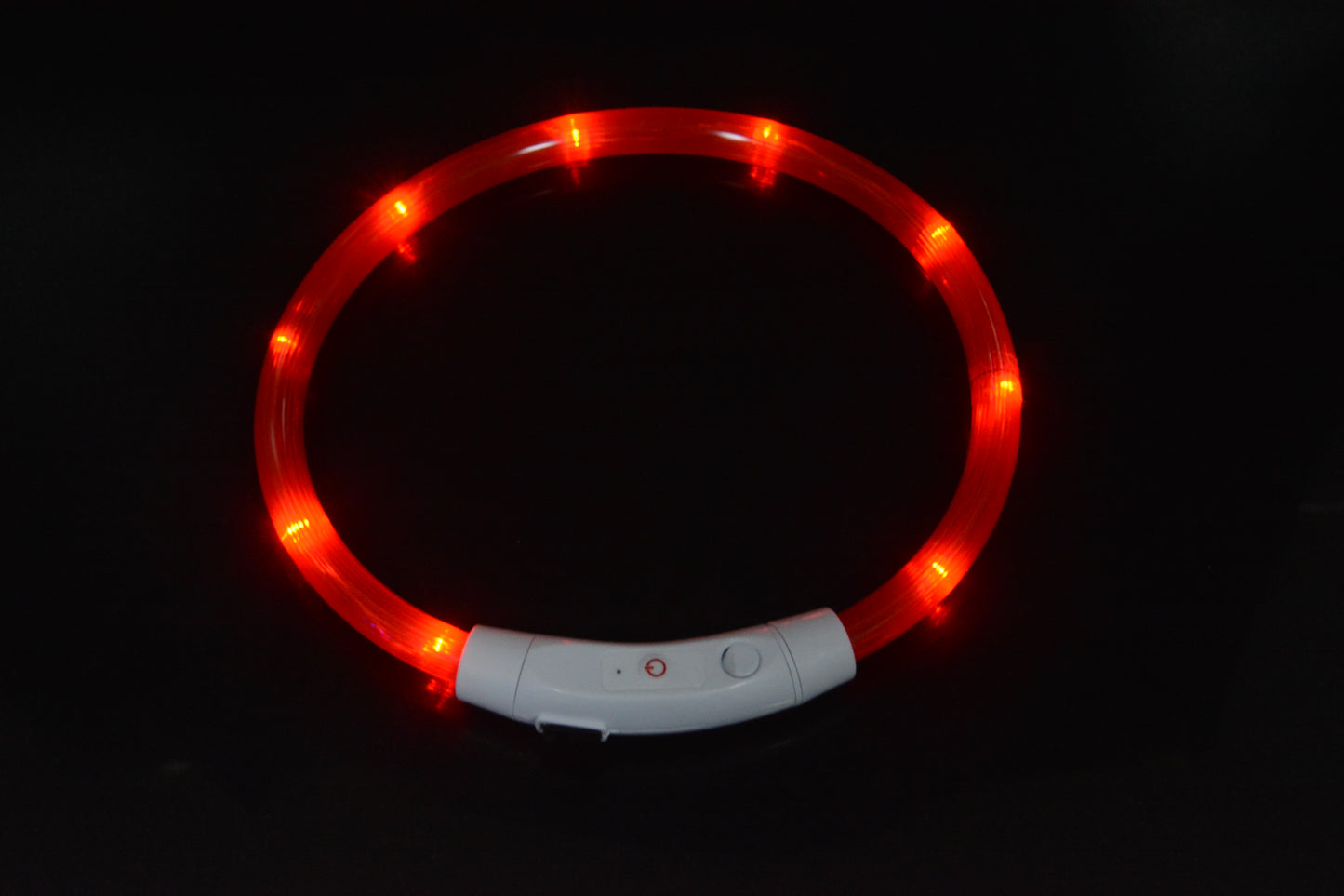 LED-Leuchthalsband für Hunde – Wiederaufladbar mit USB