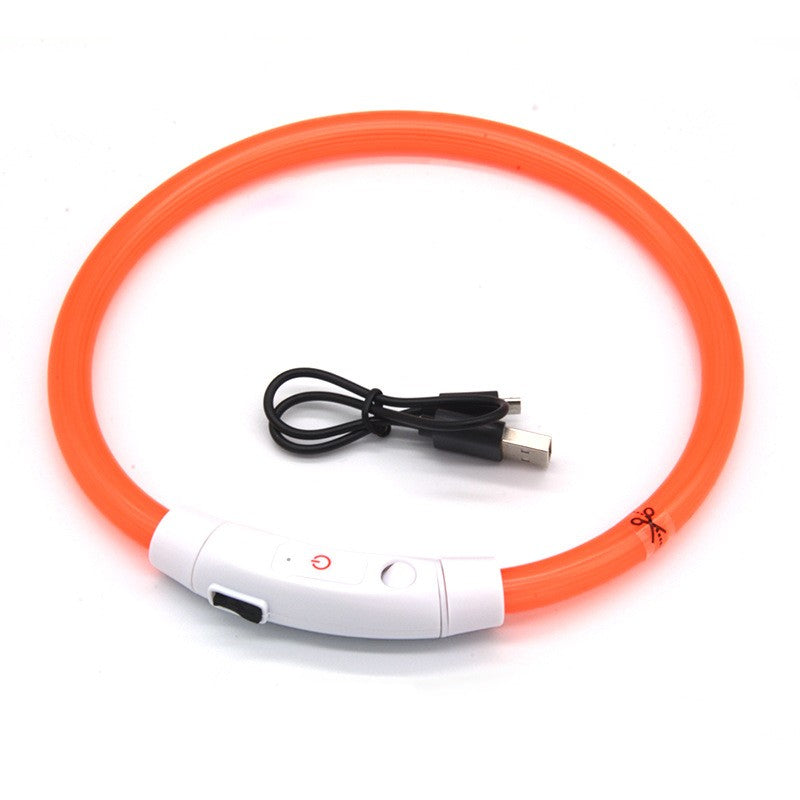 LED-Leuchthalsband für Hunde – Wiederaufladbar mit USB