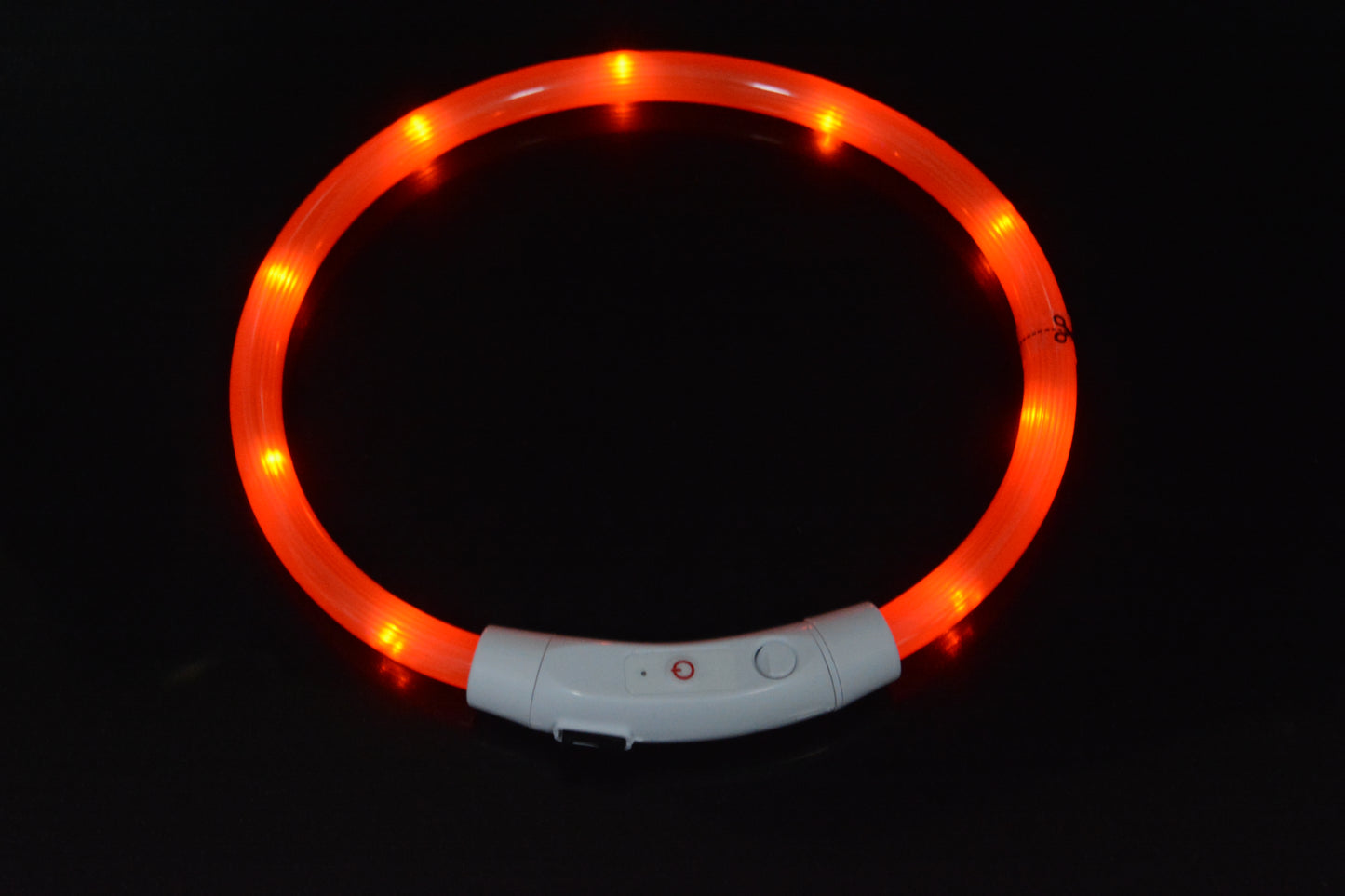LED-Leuchthalsband für Hunde – Wiederaufladbar mit USB