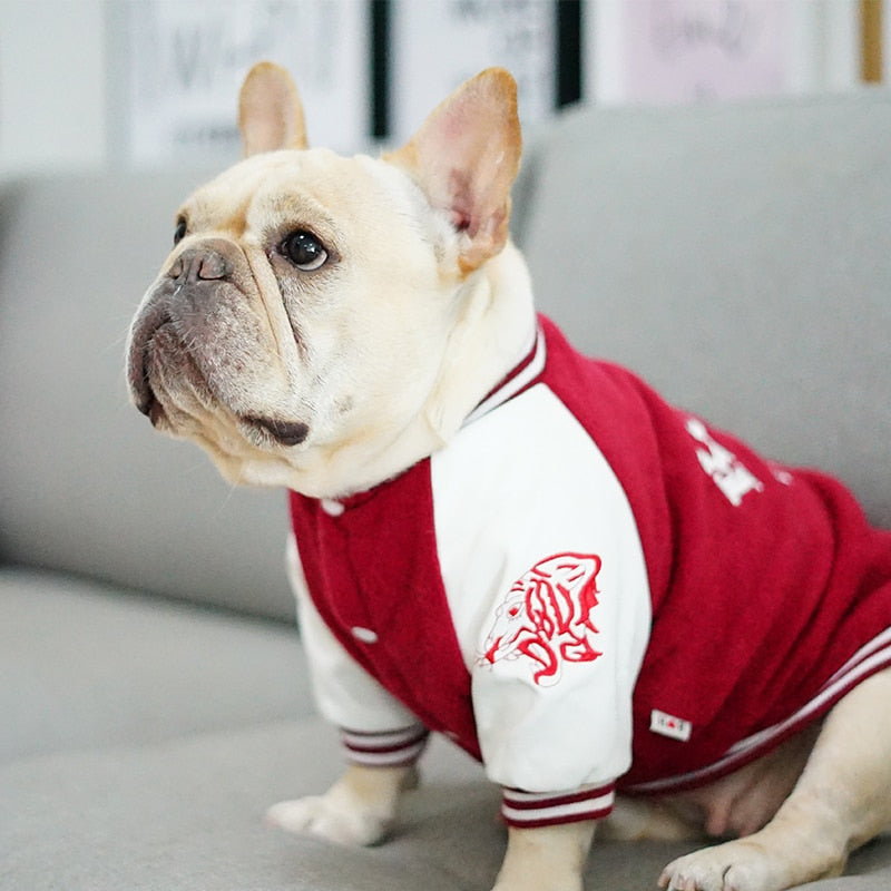 Hunde Jacke French Coat