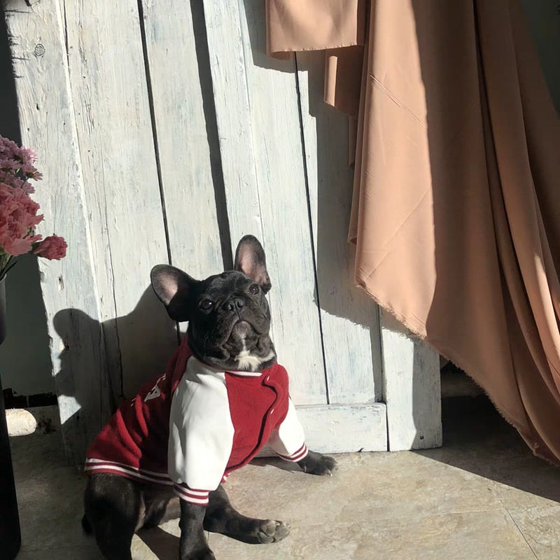 Hunde Jacke French Coat