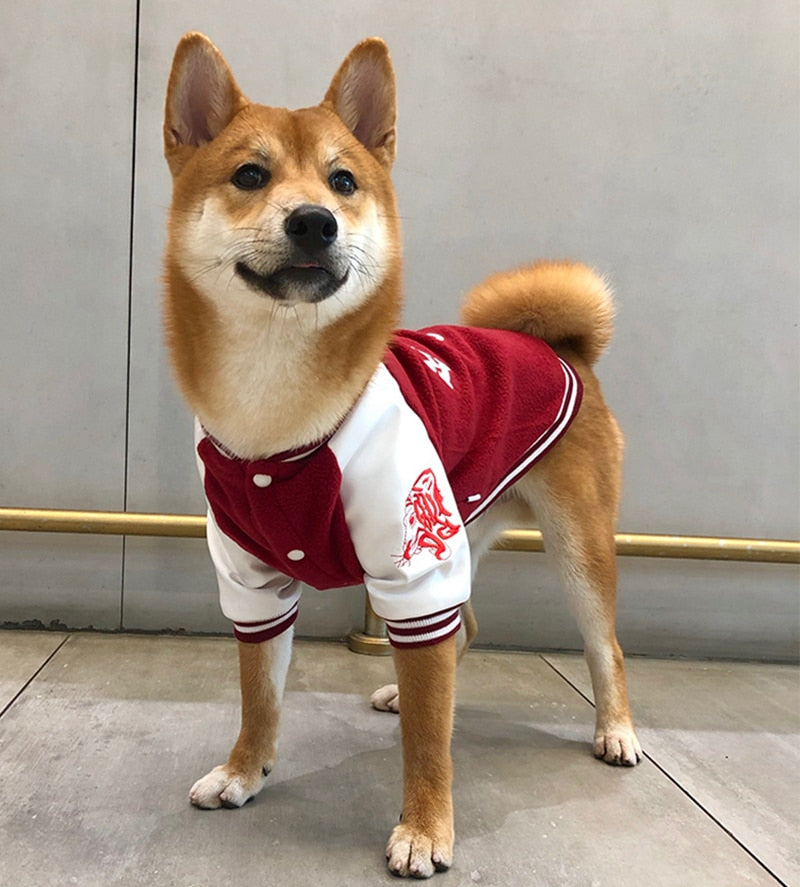 Hunde Jacke French Coat