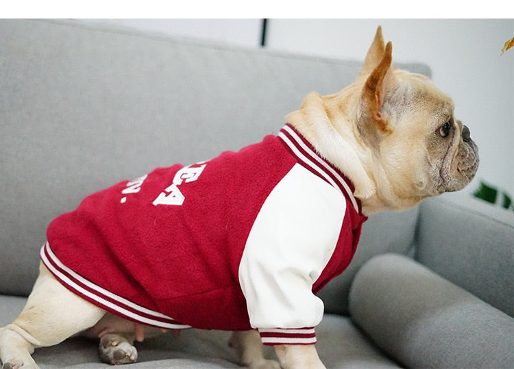 Hunde Jacke French Coat